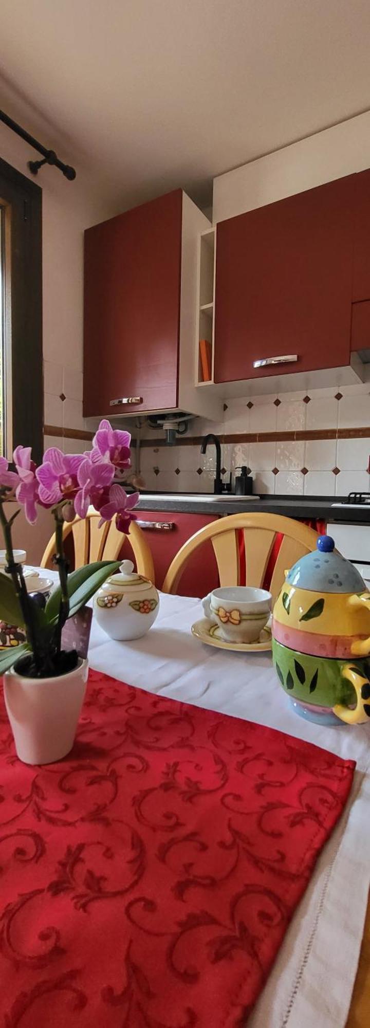Alfa Appartamento In Centro 戈里齐亚 外观 照片